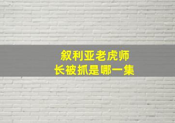 叙利亚老虎师长被抓是哪一集