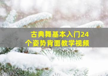 古典舞基本入门24个姿势背面教学视频