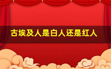 古埃及人是白人还是红人