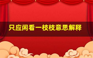 只应闲看一枝枝意思解释