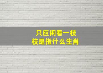 只应闲看一枝枝是指什么生肖