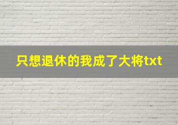 只想退休的我成了大将txt