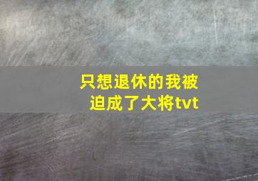 只想退休的我被迫成了大将tvt