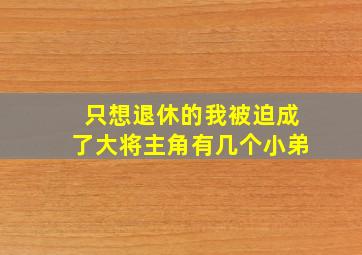 只想退休的我被迫成了大将主角有几个小弟