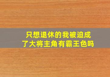 只想退休的我被迫成了大将主角有霸王色吗