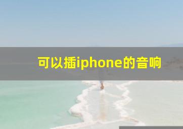 可以插iphone的音响