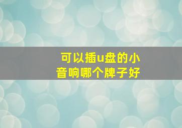 可以插u盘的小音响哪个牌子好