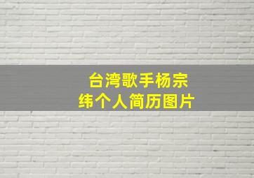 台湾歌手杨宗纬个人简历图片