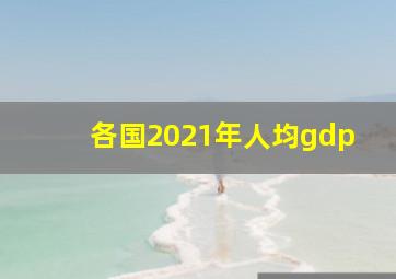 各国2021年人均gdp