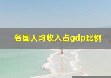 各国人均收入占gdp比例