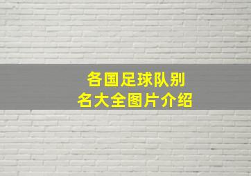 各国足球队别名大全图片介绍