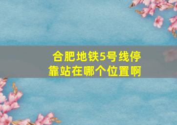 合肥地铁5号线停靠站在哪个位置啊