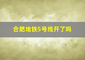 合肥地铁5号线开了吗