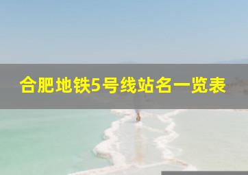 合肥地铁5号线站名一览表