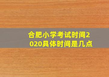 合肥小学考试时间2020具体时间是几点