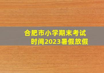 合肥市小学期末考试时间2023暑假放假