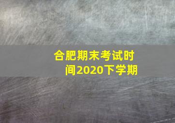 合肥期末考试时间2020下学期