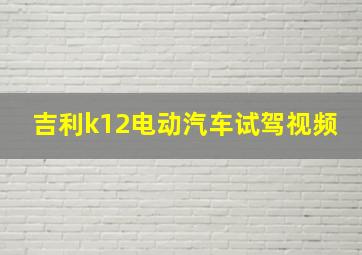 吉利k12电动汽车试驾视频