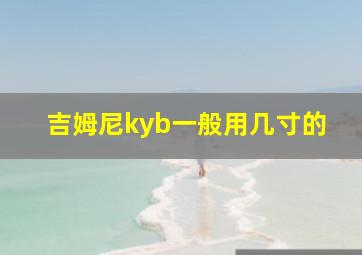 吉姆尼kyb一般用几寸的