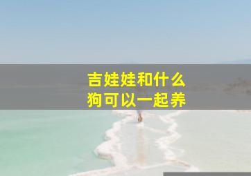 吉娃娃和什么狗可以一起养