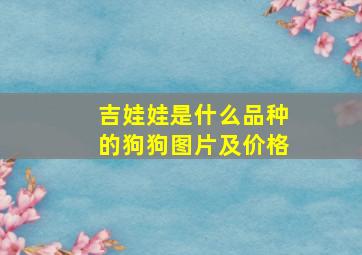 吉娃娃是什么品种的狗狗图片及价格