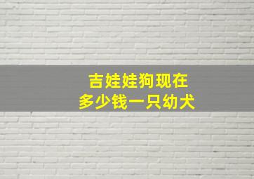 吉娃娃狗现在多少钱一只幼犬