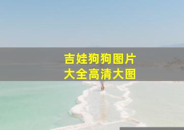 吉娃狗狗图片大全高清大图