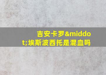 吉安卡罗·埃斯波西托是混血吗