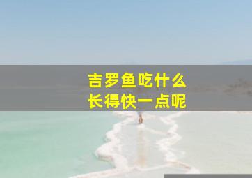 吉罗鱼吃什么长得快一点呢