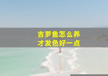 吉罗鱼怎么养才发色好一点