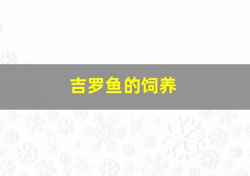 吉罗鱼的饲养