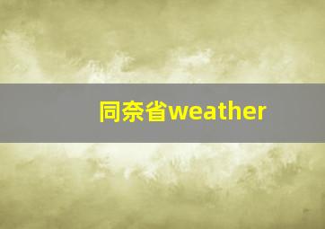 同奈省weather