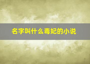 名字叫什么毒妃的小说