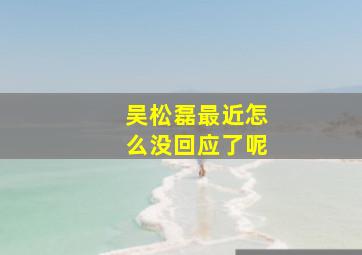 吴松磊最近怎么没回应了呢