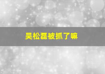 吴松磊被抓了嘛