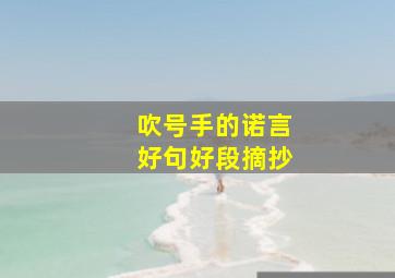 吹号手的诺言好句好段摘抄