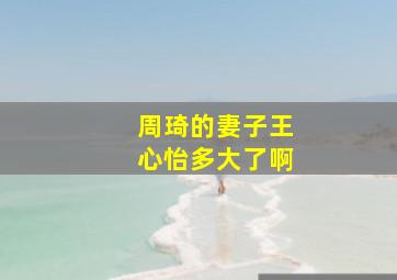 周琦的妻子王心怡多大了啊