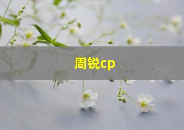 周锐cp