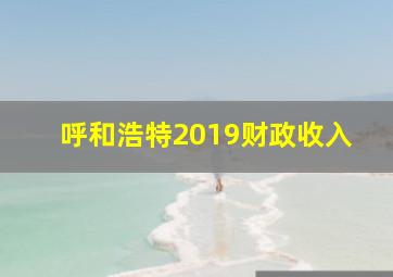 呼和浩特2019财政收入