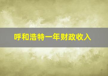 呼和浩特一年财政收入