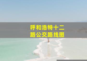 呼和浩特十二路公交路线图