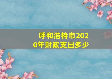 呼和浩特市2020年财政支出多少