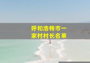 呼和浩特市一家村村长名单