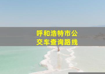 呼和浩特市公交车查询路线