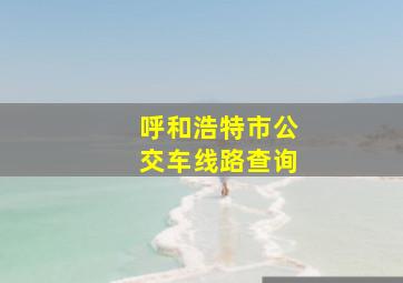 呼和浩特市公交车线路查询