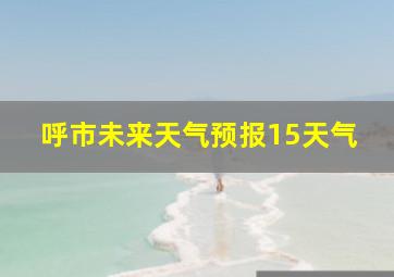 呼市未来天气预报15天气