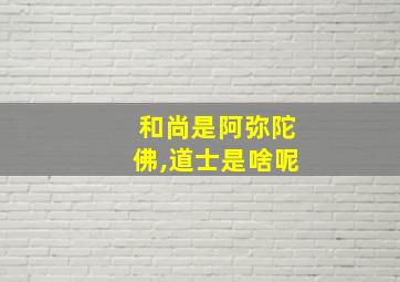 和尚是阿弥陀佛,道士是啥呢