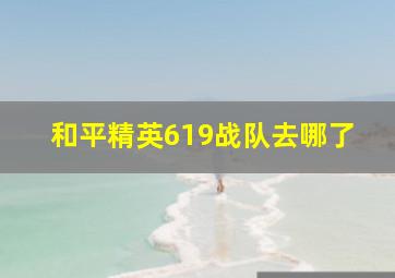 和平精英619战队去哪了