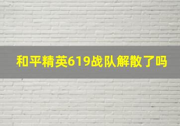 和平精英619战队解散了吗