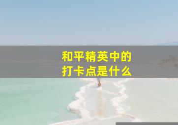 和平精英中的打卡点是什么